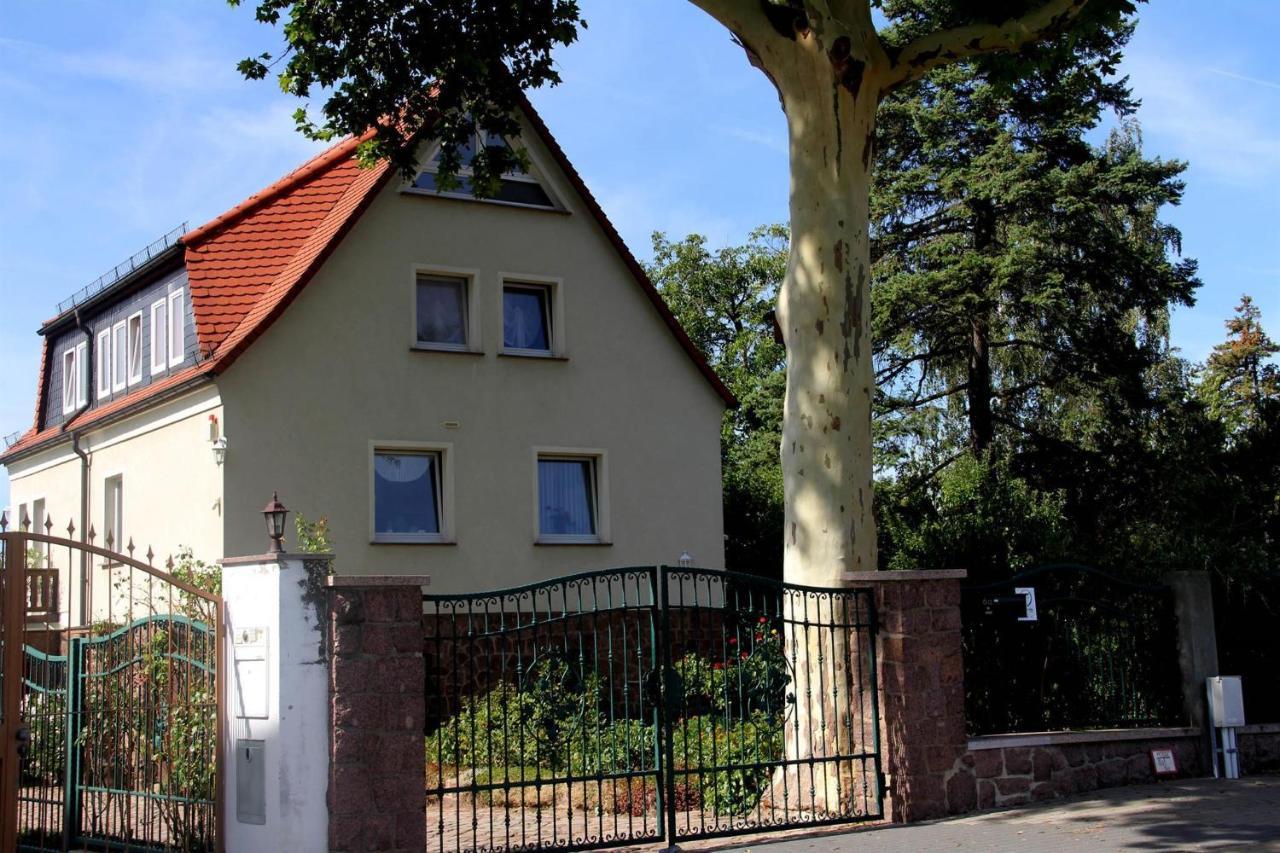 Meißen Pension Elbblick Sabine Zuschke מראה חיצוני תמונה